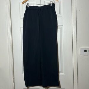 Everlane Black Wide Leg Pants